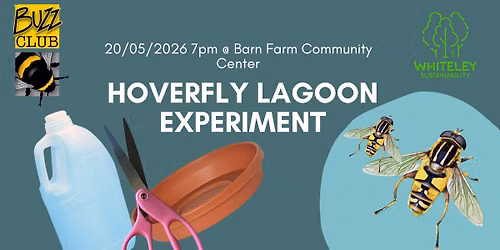 Hoverfly Lagoon Experiment