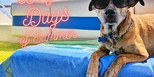 3rd Annual Dog Days of Summer Party!