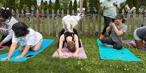 Baby Goat Yoga & Bottle Feeding at the Farm