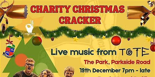Charity Christmas Cracker