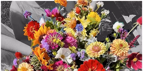 50-Cent Stems Student Sale 2026