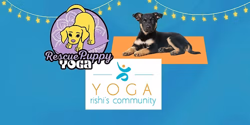 Rescue Puppy Yoga - Rishi\u2019s Community Yoga