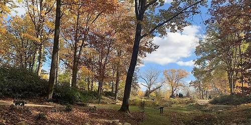 Autumn Heart Circle