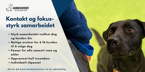 Kontakt og fokus \u2013 styrk samarbeidet mellom deg og hunden din! (ledige plasser)