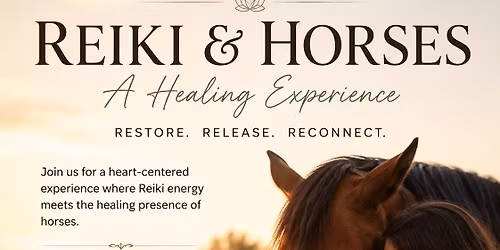 Reiki & Horses Outdoors In Lake Country