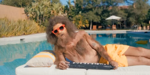 Caloncho in Pachuca De Soto