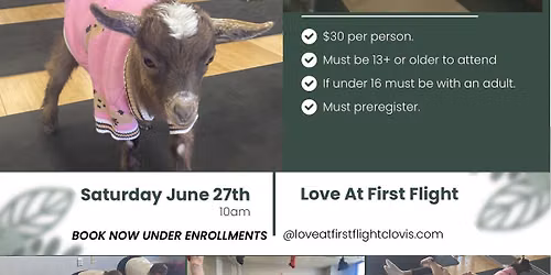 Baby Goat Yoga