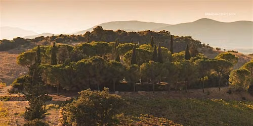 An Evening in Tuscany: Brancaia Wines with Winemaker Barbara Widmer