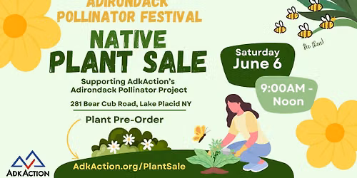 Adirondack Pollinator Festival and Native Plant Sale
