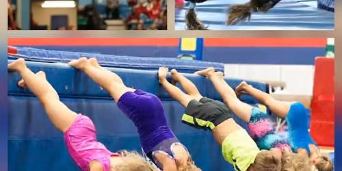 GYMNASTICS Have a Go Day