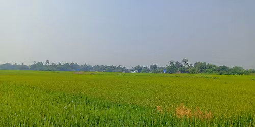 FAST BAJI 21\/03\/26 Tips