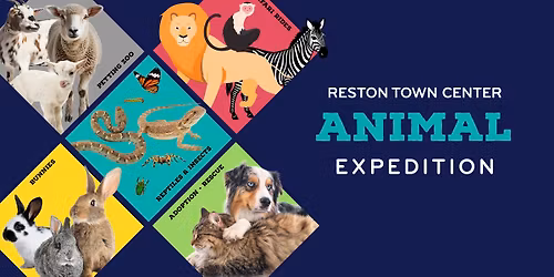 Animal Expedition