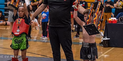 Technical Thai Boxing Series 14