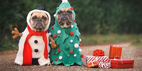 Jingle Paws Parade 2025