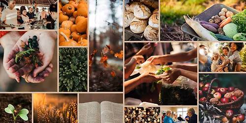 Seeds of Faith: Finding Hope in Creation\u2019s Abundance