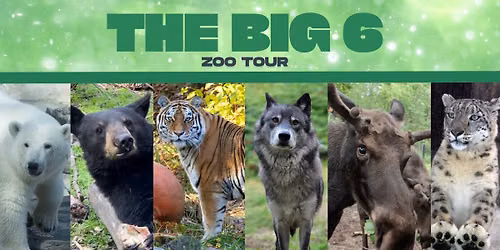 The Big 6 Alaska Zoo Tour: Icons of the North