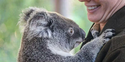 Fleay's Events Mother's Day Breakfast