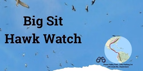 Big Sit Hawk Watch