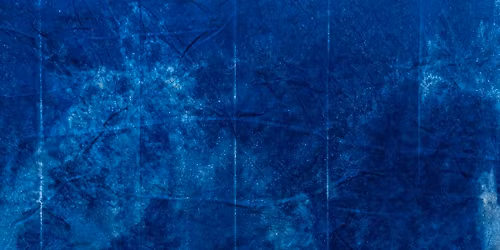 University Forum Lecture: William F. Buckley: The Life and the Revolution That Changed America