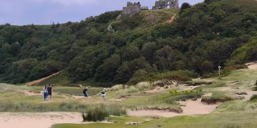 Ancient Stones, Beaches, Castles, Gower Heritage and SAUNA!