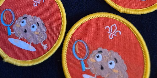 Cubs Dementia Awareness Badges Celebration Event!