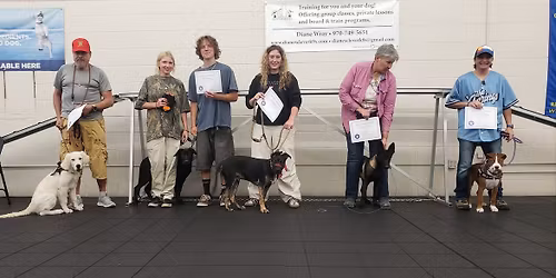 Puppy Classes at Creature Comforts