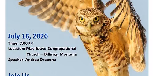 YVAS Program: Migration of Burrowing Owls presented by Andrea Orabona