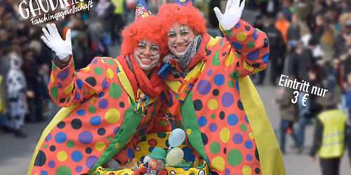 FASCHINGSZUG Ruhstorf