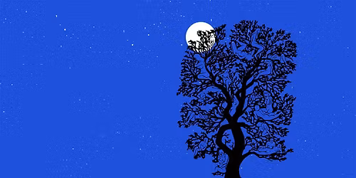 A Little Night Music at Chicago Symphony Center