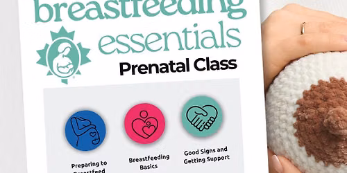 La Leche League Prenatal Breastfeeding Essentials - In Person