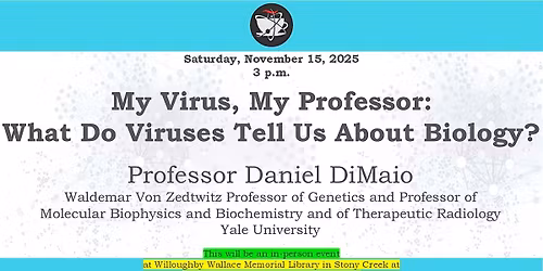 My Virus, My Professor:   What Do Viruses Tell Us About Biology?