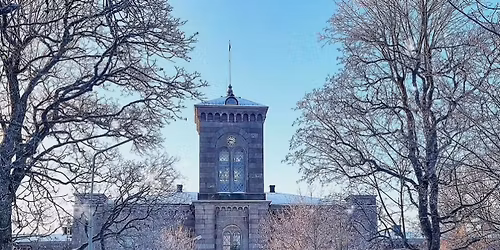 Julmarknaden Julst\u00e4mning en marknad i historisk milj\u00f6.