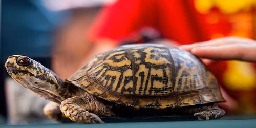 Pittsburgh Zoo & Aquarium presents Wonders of Wildlife