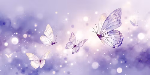 medley of mediums showcase