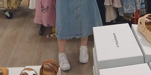 Sarasota Fall Fine Art Festival 