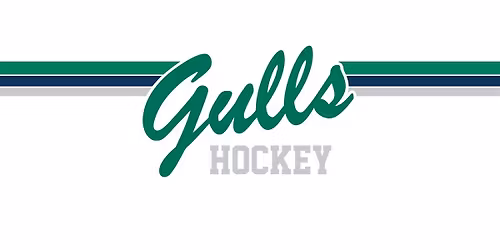 Endicott College Women's Ice Hockey vs University of New England