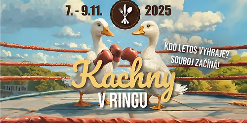 Kachny v ringu