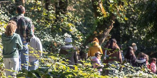 June Forest Walk at Columbia Springs 