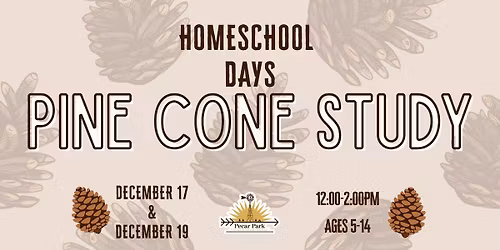Homeschool Days: Pine Cone Study 