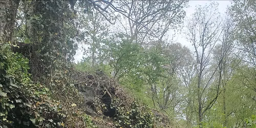 Wissahickon Cleanup
