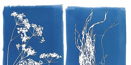 Light Show - Cyanotype workshop