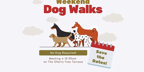 Weekend Pack Walks (no dog required!)