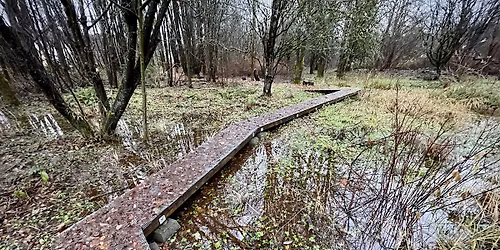 Specialty Farm Tour: The Water Cycle