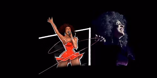 TINA LIVE - The Tina Turner Experience with Sylvie Desgroseilliers