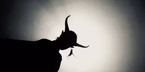 Dec. 13th Krampus Christmas Tour at Churchill School