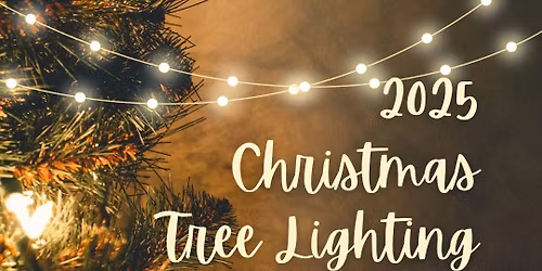 2025 Christmas Tree Lighting