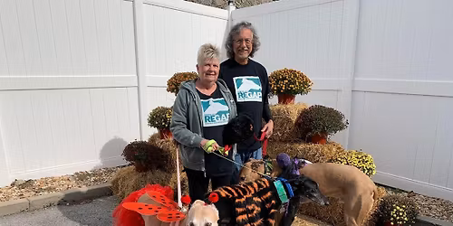Woof’s Trunk or Treat & Nail Trims & Grinds