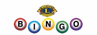 Bingo With the Lions