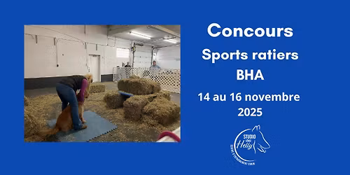 Concours de sports ratiers BHA (Barn hunt association)