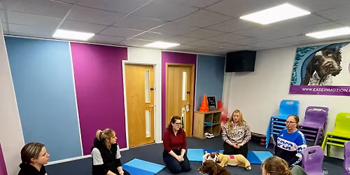 iPet Network Level 3 Canine First Aid Course